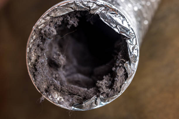 Reliable Rothsville, PA Airduct Cleaning Solutions