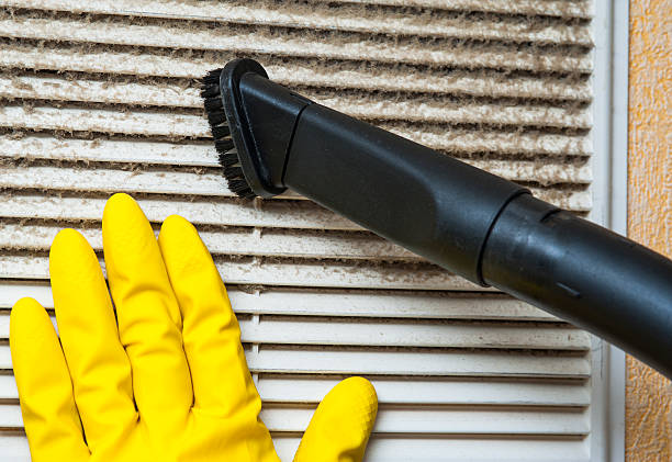 Best Ventilation System Cleaning in Rothsville, PA